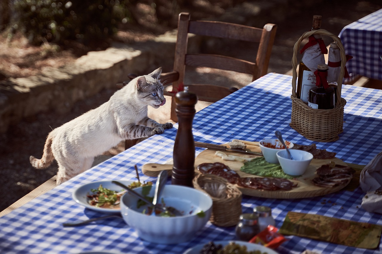 O segredo para uma alimentação descomplicada é comer com equilíbrio